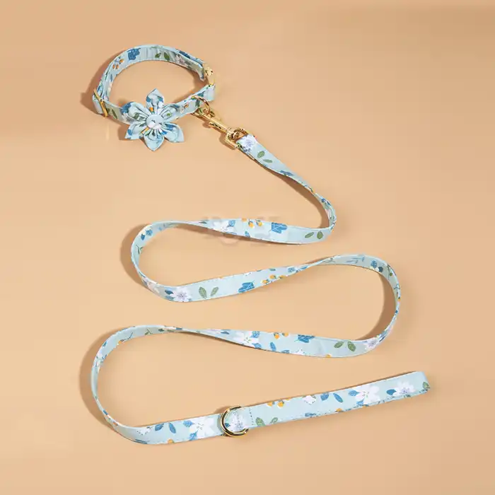 Sublimation Print Dog Leashes & Collars